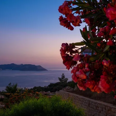 Villa White Garden *